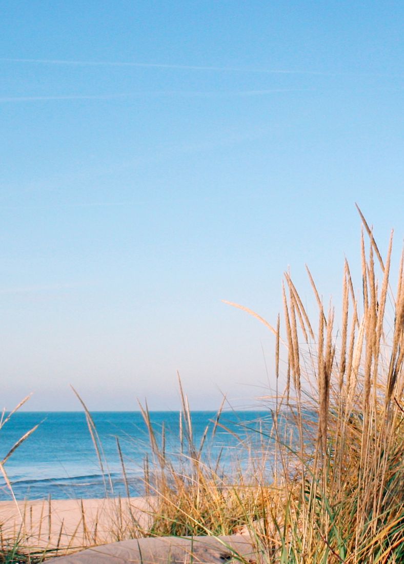 Union Pier, MI callout